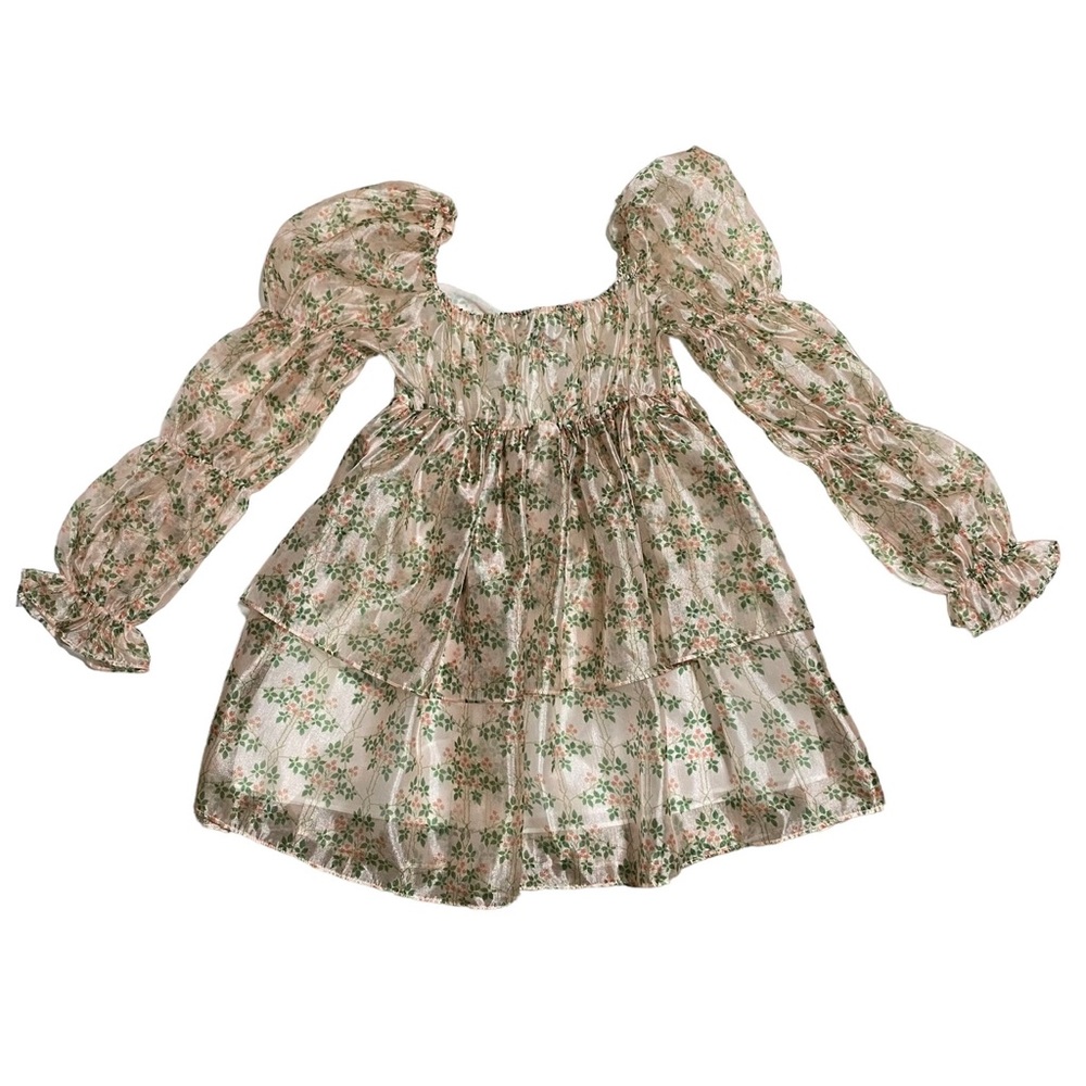 Uuniq Daisyland Long Sleeve Floral Mini Organza Dress - Picture 4 of 8